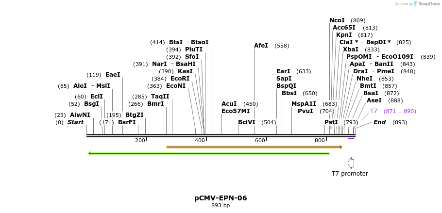 162109_map
