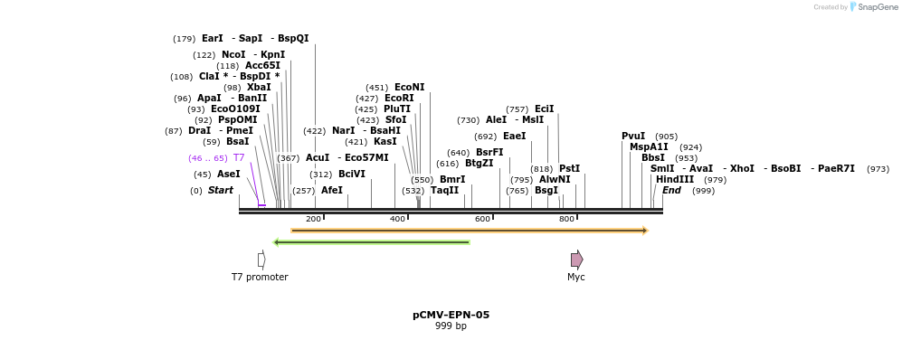 162111_map