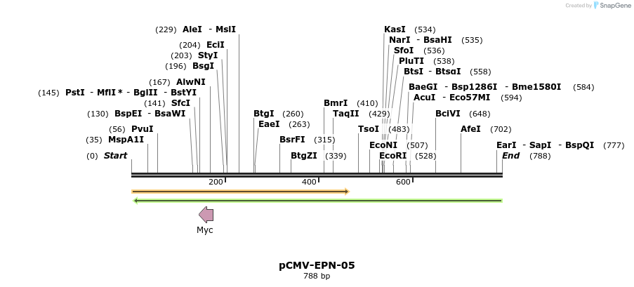 162113_map