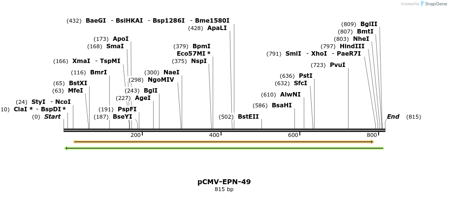 162117_map