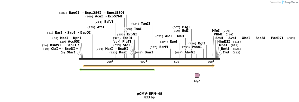 162121_map