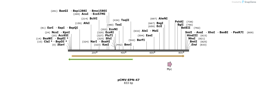 162127_map