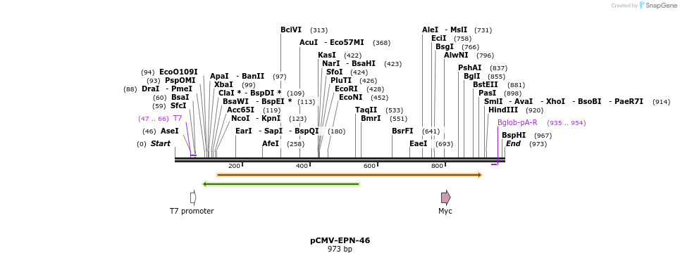 162128_map