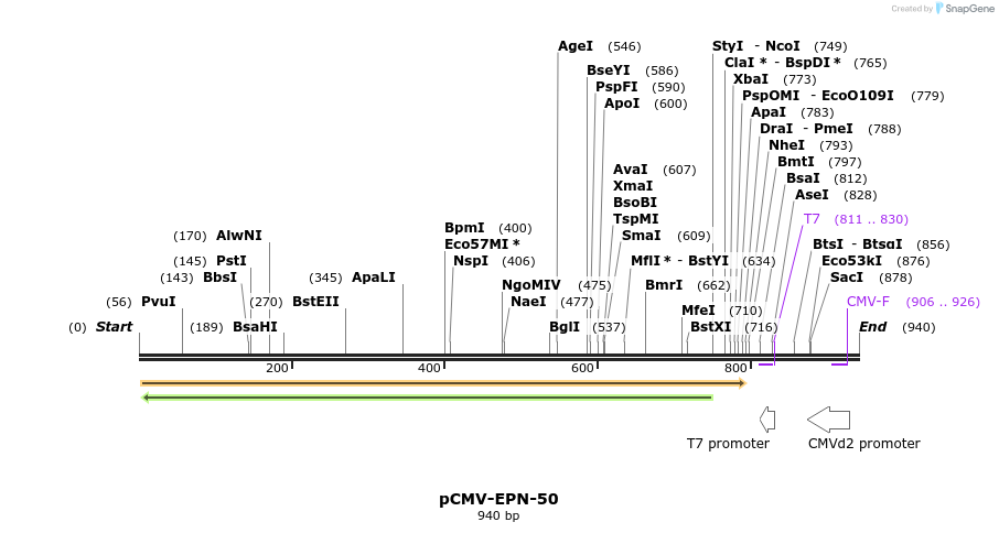 162132_map