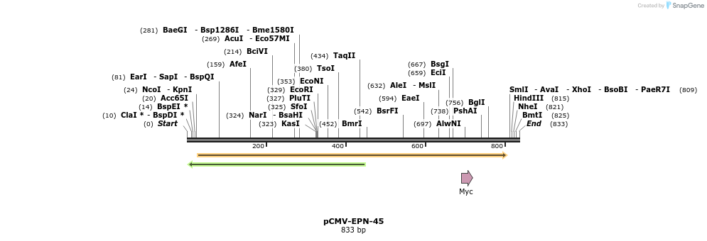 162136_map