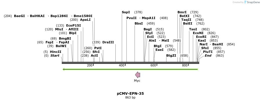 162141_map
