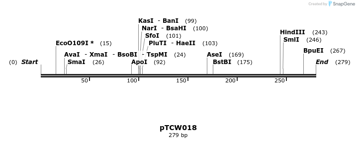 162151_map