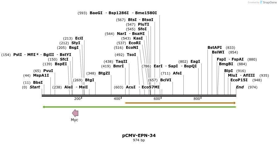162166_map
