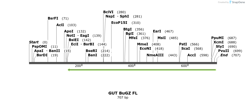 162193_map