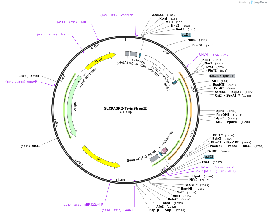 162200_map