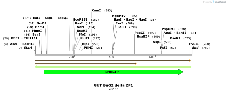 162204_map