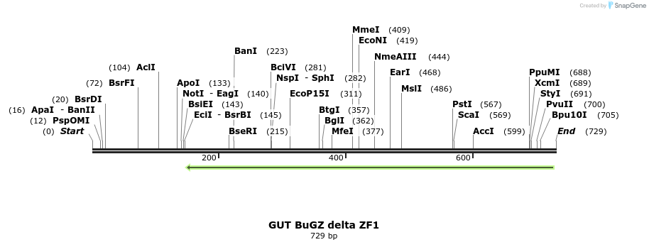 162205_map