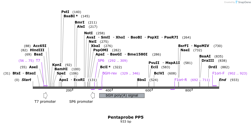 162207_map