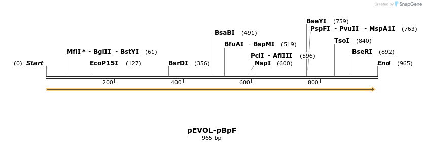162221_map