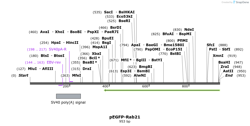 162232_map