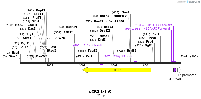 162258_map
