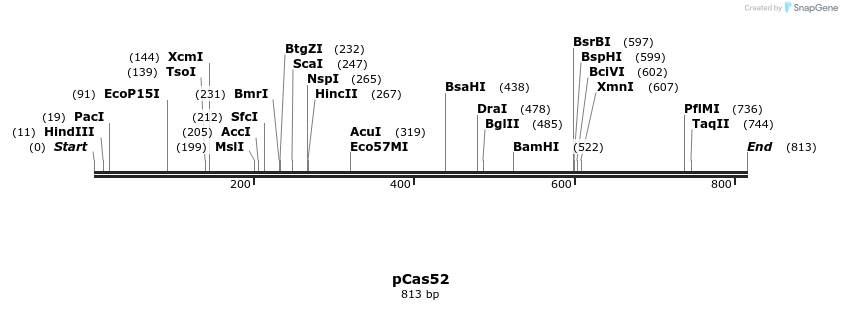 162309_map