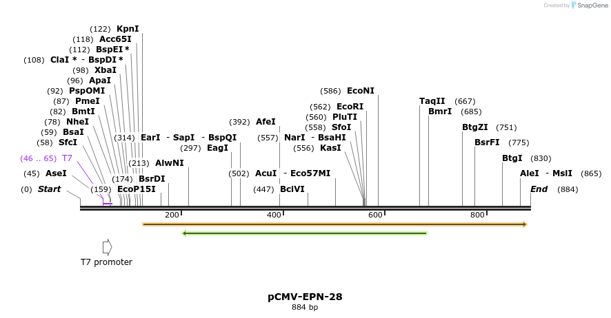 162358_map