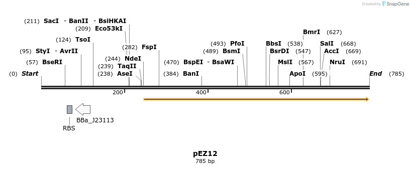 162364_map