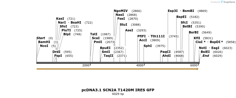 162478_map
