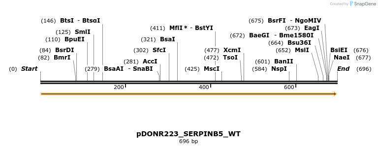 162485_map