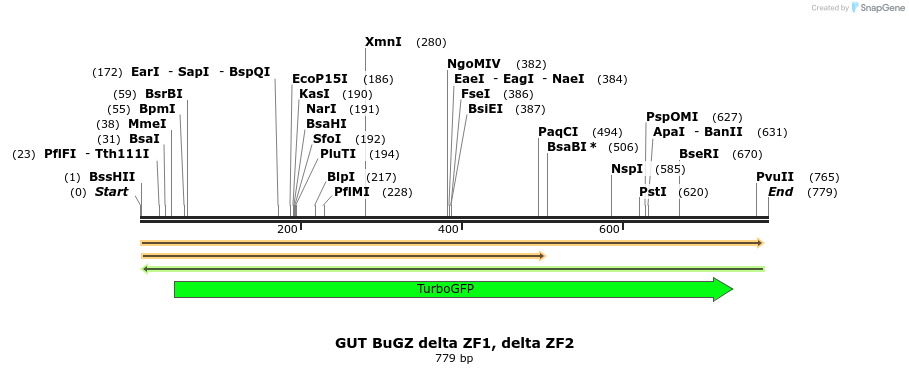 162495_map