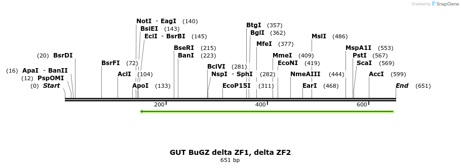 162496_map