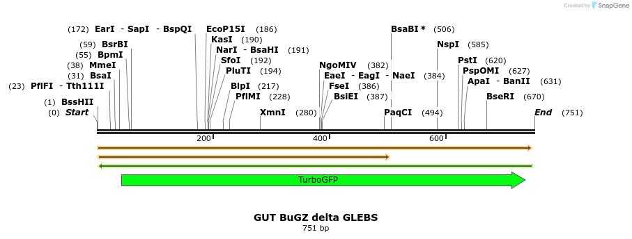 162497_map