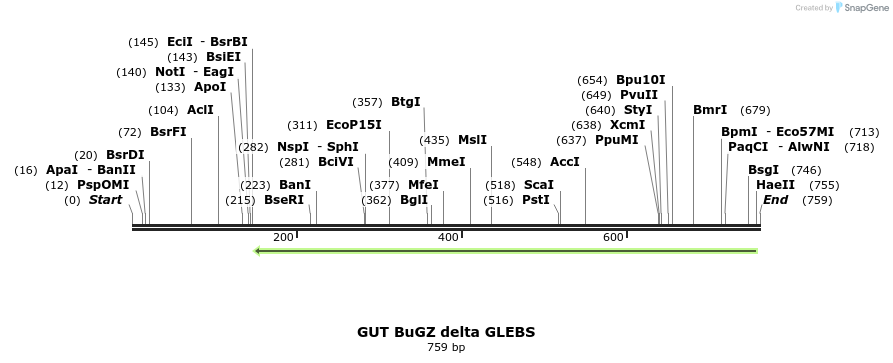 162498_map