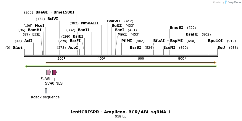 162502_map