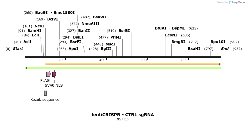 162508_map