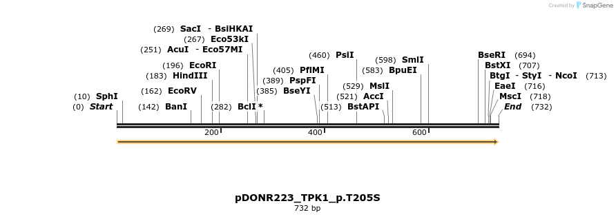 162530_map