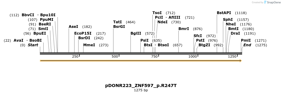 162534_map