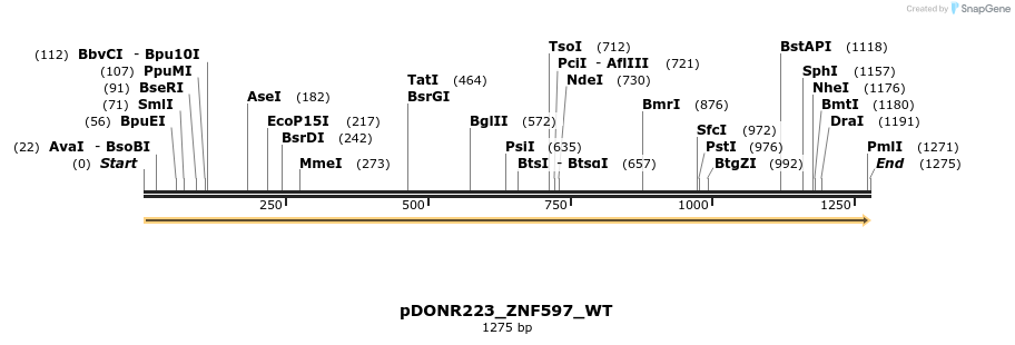 162538_map