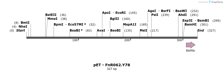162558_map