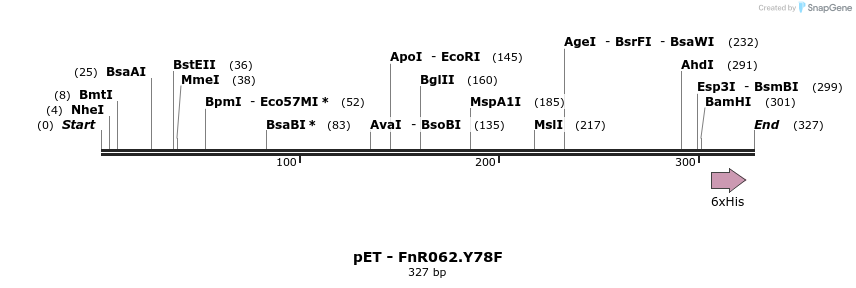 162563_map