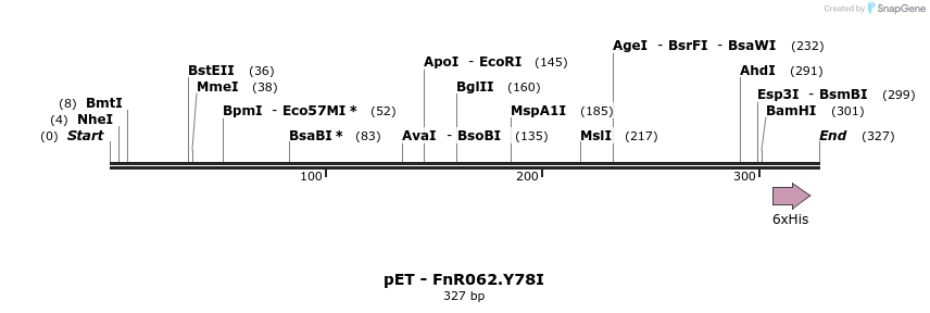 162566_map