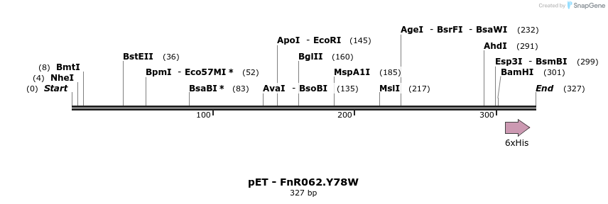 162577_map