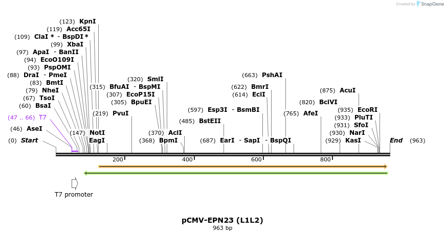162582_map