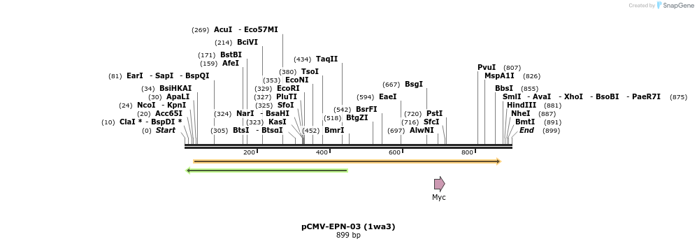 162596_map