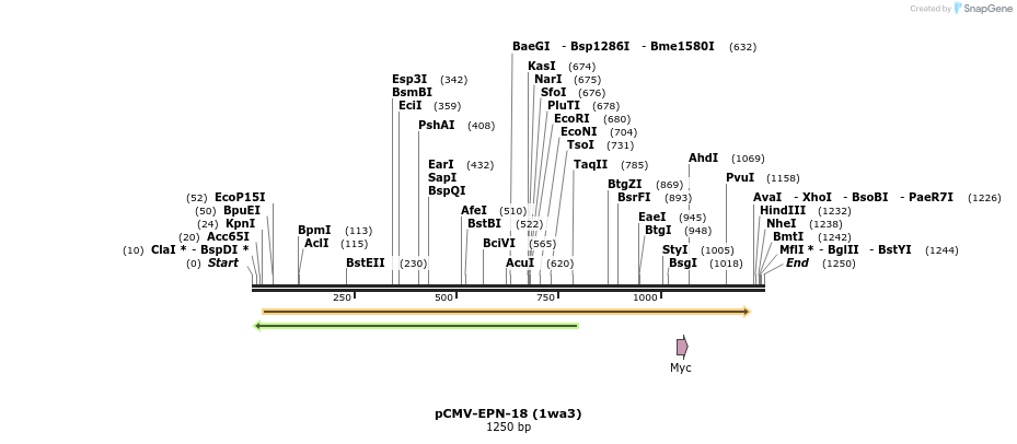 162599_map