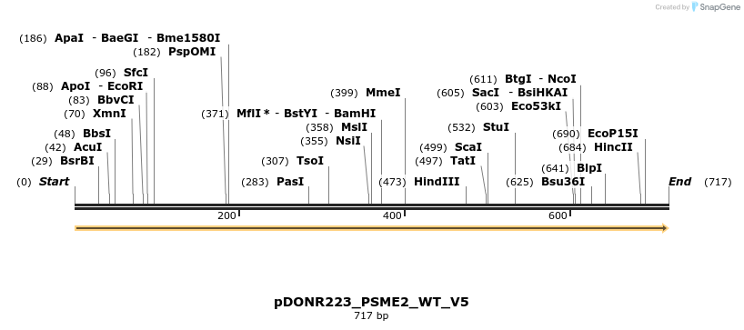 162617_map