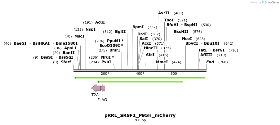 162637_map