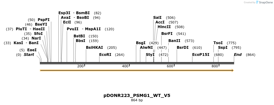 162643_map