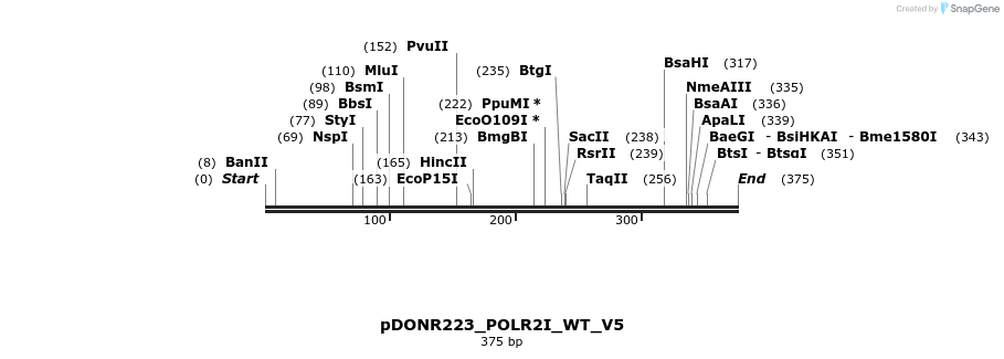 162645_map