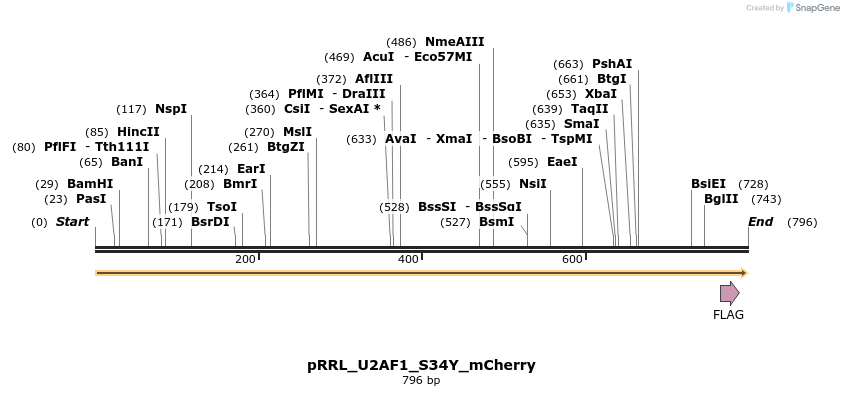 162668_map