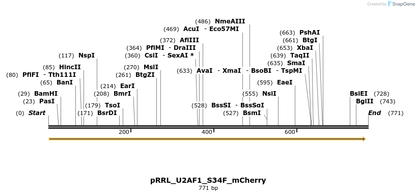 162670_map