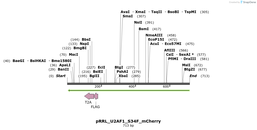 162671_map