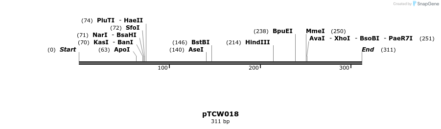 162673_map