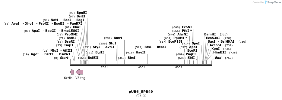 162682_map